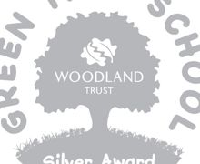 Green trees school award silver