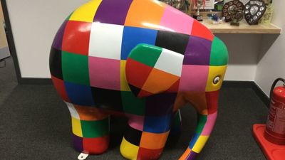 Elmer visit