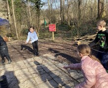 IMG 4641
