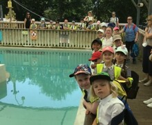 Year 2c