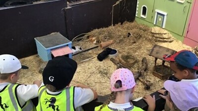 Rare Breeds Centre